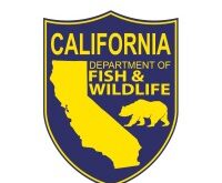 Fish and Wildlife Jobs